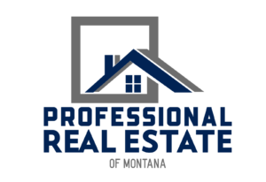 professional-real-estate-2